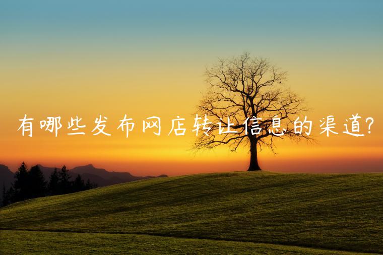 有哪些發(fā)布網(wǎng)店轉(zhuǎn)讓信息的渠道?